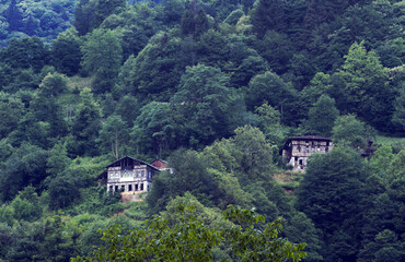 Fototapeta na wymiar A photo of wooden houses that are positioned on the foothill of the forested mountain under the cloudy sky. Living in the countryside of Turkey, especially in Black Sea region, is so relaxing because