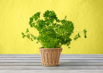 healthy eating, gardening and organic concept - green parsley herb in wicker basket on wooden table over yellow background