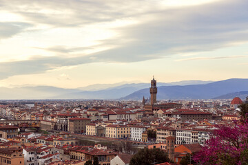 Fototapeta na wymiar Beautiful landscape view of Florence and Palazzo Vecchio. Tuscany, Italy