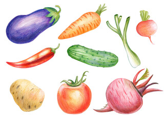 Set of vegetables in colored pencil style isolated on white background. Illustration. Templates