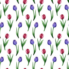 Watercolor hand painted seamless pattern with colorful tulip flowers on white background. Delicate floral pattern for textile, wrapping paper or scrapbooking.