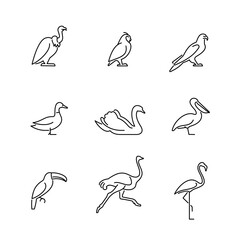 Birds icons set. Wildlife vector illustration. © ProfiTrollka