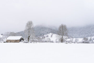 paysage de montagnes