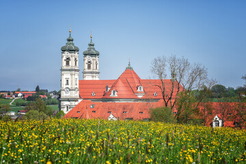 Fototapeta na wymiar basilica ottobeuren in spring, with dandelions