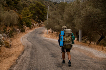 rear view of tourist with backpack and hiking sticks walking along the road