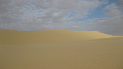 Fototapeta na wymiar Vue du desert