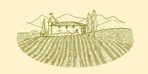 Rural house with a vineyard. An illustration in the vintage style of an old engraving.