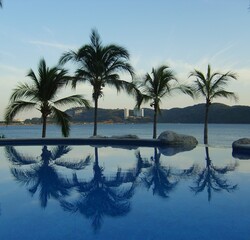 Vue sur une plage avec des plamiers