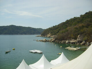 Vue sur une plage avec des plamiers