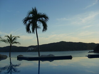 Vue sur une plage avec des plamiers