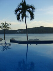Vue sur une plage avec des plamiers