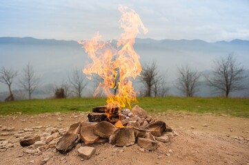 campfire in the forest
