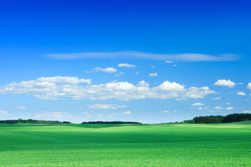 Idyllic view, green field and the blue sky with white clouds