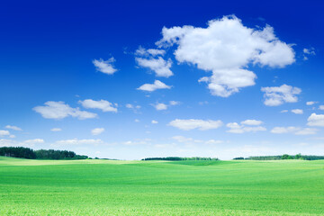 Obraz premium Idyllic view, green field and the blue sky with white clouds