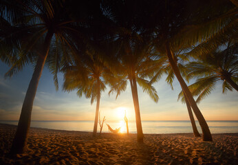 Beautiful sunset over the sea with palmes tree and hammock on the tropical beach in holiday relax...