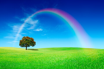 Obraz na płótnie Canvas Idyllic view, lonely tree with rainbow on green field