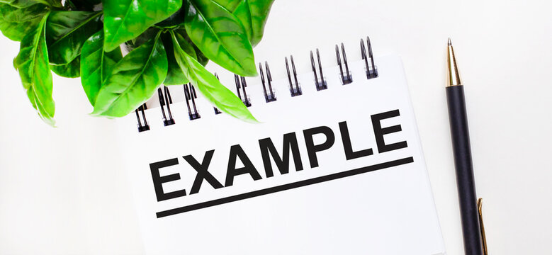 On a white background a green plant, a white notebook with the inscription EXAMPLE and a pen