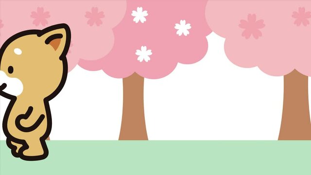 しば犬くんお花見