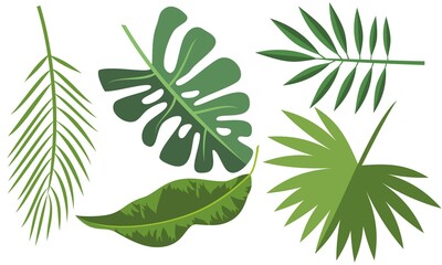Collection of tropical leaves. Summer logo