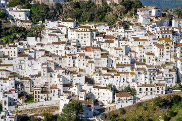 Fototapeta na wymiar detail view of the whitewashed houses in the village of Casares in Andalusia