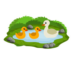 Obraz na płótnie Canvas Ducks in the pond. Chicken swims in lake. Animal in wild and forest. Mother and yellow child of a bird in water. Flat cartoon.