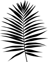 Leaf palm tree plant tree illustration