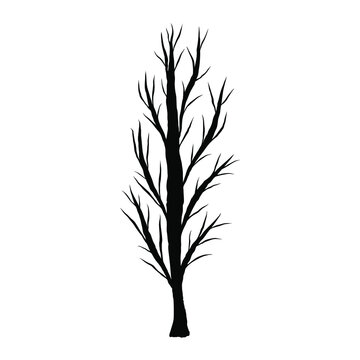 Sketch of a tree with bare branches without leaves. Vector monochrome illustration. Isolated plant on a white background.