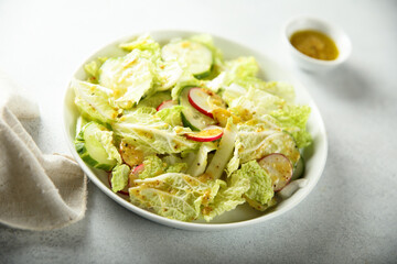 Healthy green salad with radish and cucumber