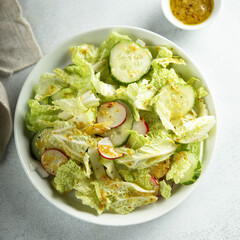 Healthy green salad with radish and cucumber