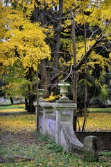 PASEO DEL BOSQUE  II