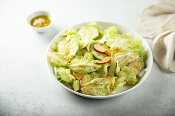 Healthy green salad with radish and cucumber