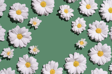 White daisy flowers on sea green background with creative copy space.