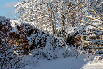  Es hat die ganze Nacht geschneit, der Himmel ist heute blau und die B&auml;ume wei&szlig;.