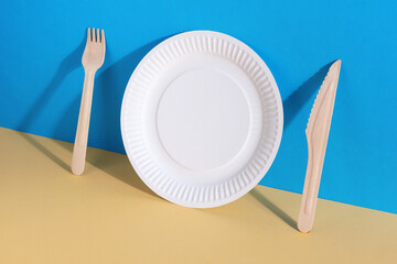 Paper plate and wooden cutlery