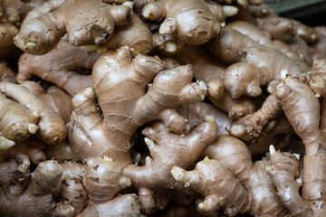 Pile of fresh ginger root. a condiment herb for protection Covid-19 virus