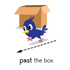 Preposition of movement Bird runing past the box