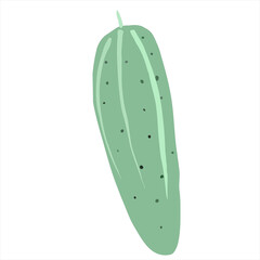 vector color cucumber isolated on white background