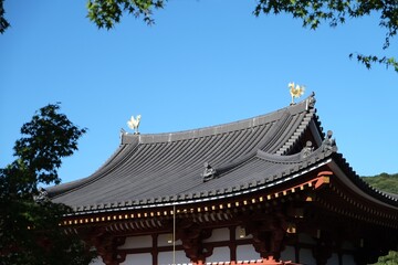 お寺,Japanese Temple