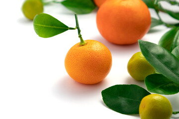 Tangerines or clementines with leaves on white background. Top view.