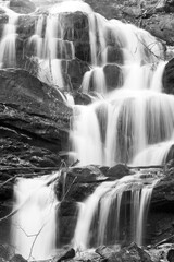 Grayscale. Waterfalls on Rocky Stream, Running Through Autumn Mountain Forest.