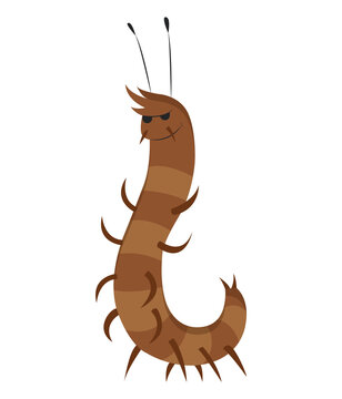 brown cartoon centipede smiling on white clip art preview