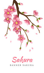 Obraz na płótnie Canvas Sakura. Greeting card banner or invitation card with blossom sakura flowers. Blooming flowers illustration wedding invitation template