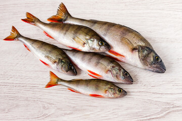 Freshly caught roach fish lies on a wooden surface.