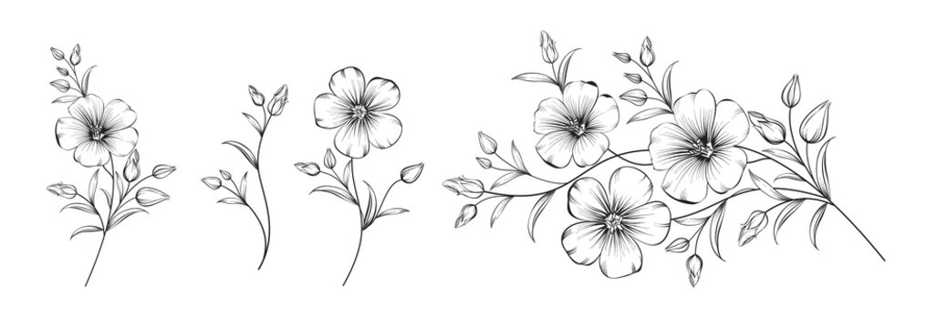 Naklejki Set of differents flower linen on white background.