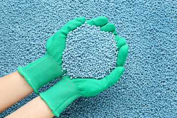 Woman holding pile of granular mineral fertilizer over grains, top view