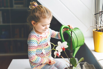Little toddler girl watering flowers and orchid plants on window at home. Cute child helping,...