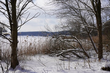 Idyllische, wei&szlig;e Schneelandschaft an der Havel in Berlin