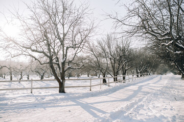 Obraz premium Snowy road outside the city on a sunny day