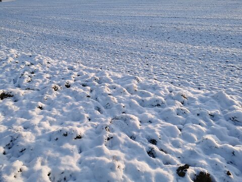 Feld im Schnee als Textur