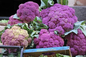purple cauliflowers, large colorful cauliflowers lined up on a stall, purple vegetables